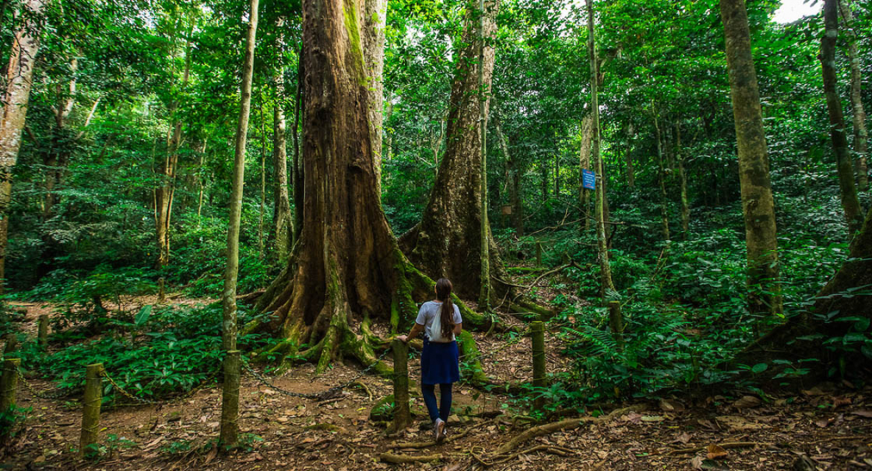 7 AMAZING PARKS IN VIETNAM 